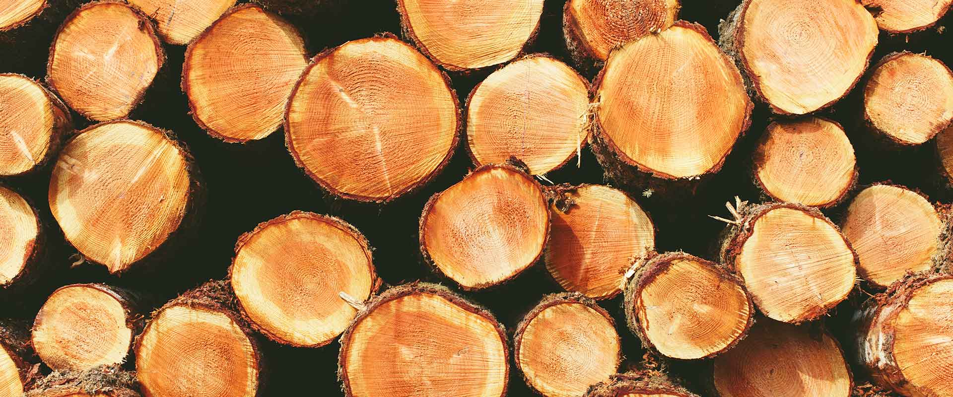 spruce-timber-frame-kiln-dried-1920x800